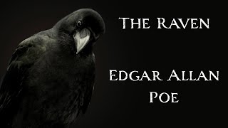 The Raven by Edgar Allan Poe | An Audiobook Poetry Narration
