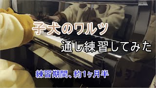 そろそろ歴４年目が子犬のワルツ弾いてみた【ピアノ】