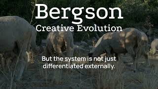 Bergson Creative Evolution ch. 3