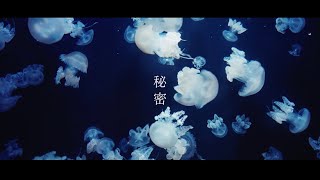 池田 海「秘密」Official Lyric Video