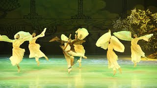 Bamboo Slip Dance | Clip from dance drama 'Confucius' 中国歌剧舞剧院舞剧《孔子》群舞——竹简舞