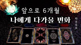 [타로] 앞으로 6개월, 나에게 다가올 변화