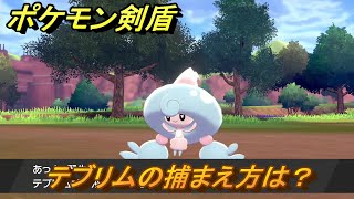 ポケモン剣盾　テブリムの出現場所は？オススメの場所は？天気は？ポケモン図鑑コンプへの道！　最新版【ポケモンソード・シールド】