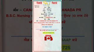 MB 1109 ਮੁੰਡਾ ਕੈਨੇਡਾ PR ਹੈ ਭਰਾ ਵੀ PR ਹੈ ਰਿਸ਼ਤਾ ਨੋਟ ਕਰੋ #canada #canadavisa #canadapr #punjab #viral