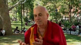 Why  Meditate? (Interview with French Buddist Matthieu Ricard)