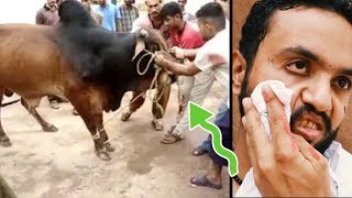 Eid ul azha Special 2018 | Bakra Eid | Qurbani Special | Pindi Boys Funny | Fukrey Production