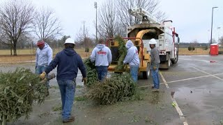 Huntsville organizers, community show out to recycle Christmas trees