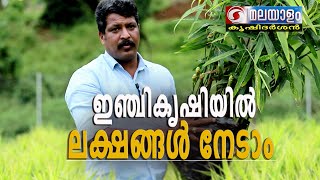 ഇഞ്ചികൃഷിയിൽ ലക്ഷങ്ങൾ നേടാം #krishidarsahn#ddmalayalam#gingerfarming