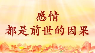 卢台长【节目录音+字幕】感情都是前世的因果《玄艺综述》节选