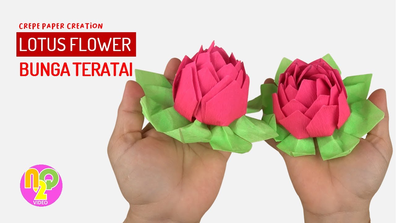 Cara Membuat Bunga Teratai Dari Kertas Krep | Crepe Paper Lotus DIY ...