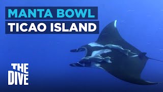 Manta Bowl at Ticao Island l | THE DIVE