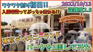 2022年10月平日中旬の東京ディズニーランドのパークを1周してみた