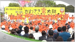 【4K】早稲田大学 誇咲｜暁（かわさき楽大師 2016）