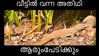 വീട്ടിൽ വന്ന അതിഥി | khayal media