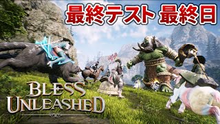 【Bless Unleashed】最終テストの実質最終日！（17日8:59まで）高難易度ダンジョン行きながら