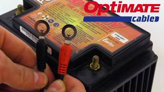 OptiMate Cable (EN): O-01 - Permanent Battery lead M6 / 1/4″ – M8 / 5/16” rings