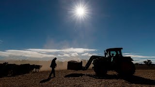 The 'Naked Farmer' addresses mental health awareness