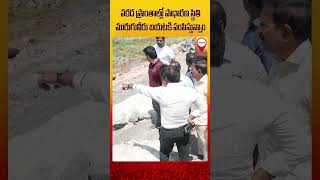 వరద ప్రాంతాల్లో సాధారణ స్థితి .. #shorts #ytshorts #vijayawadafloods  #drpongurunarayanaofficial