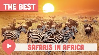 Best Safaris in Africa (Tours and Parks)