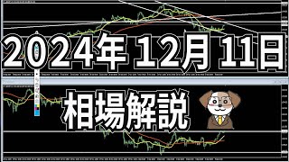 ２０２４年 １２月 １１日  相場ポイント解説