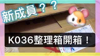 【黃金鼠】K036整理箱開箱！【倉鼠】