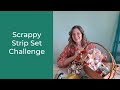 Aunt Em's Scrappy Strip Set Challenge