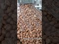 High Quality Peanut Packaging Machine