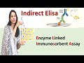 Indirect ELISA I Enzyme Linked Immunosorbent Assay I Easy & Detailed Explanation