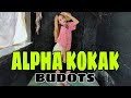 ALPHA KOKAK / BUDOTS / FLY HIGH JUMP HIGH / TIKTOK VIRAL / DJ SANDY REMIX / DANCEWORKOUT BY CHAM