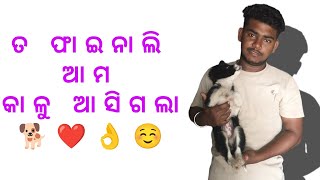 ଫାଇନାଲି ଆମ କାଳୁ ଆସିଗଲା ☺️❤️🐕 || my first vlog || #myfirstvlog  #viralvideo