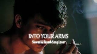 Into Your Arms ( Slowed + Reverb ) | #song | @slowedreverbsonglover007