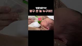 방구 싼 놈 누구여