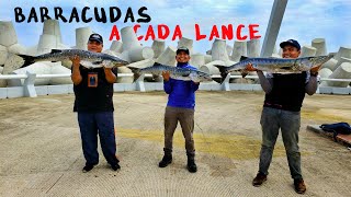 Día de BARRACUDAS | [Barracudas a CADA LANCE] | Pesca en escolleras Coatzacoalcos Veracruz