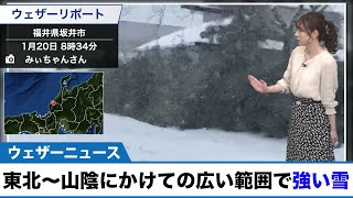 東北〜山陰にかけての広い範囲で強い雪