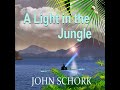 005_chapter 2.11 a light in the jungle