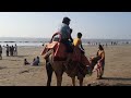 nargol beach most beautiful beach in india nargolbeach gujaratbeaches @shadowsofindia8108