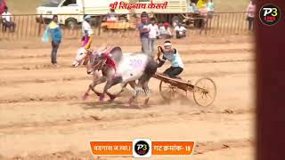 🚩श्री सिद्धनाथ केसरी 🚩🥰घरनिकीचा राजा आणि बलमा गट पास 🥰