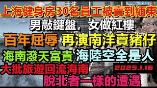 網傳上海30名健身教練被賣到緬東，海南旅遊迅速升溫，2萬一張機票都要去三亞，海陸空全是旅客#新年#小粉紅再次被傷透心#2025.1.16#大陸旅行#三亞旅遊#泰國遊#旅行團