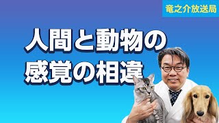 人間と動物の感覚の相違 ／もっと知りたい動物のこと【竜之介放送局11】