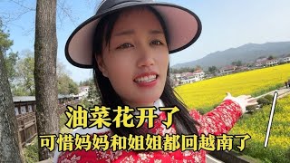 油菜花开了可惜妈妈和姐姐都回越南了只有我一个人去看好孤独