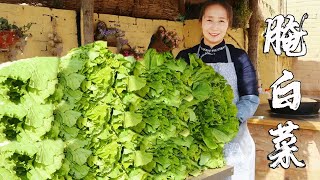 【丹霞春姐】又到了腌菜的季节，春姐拔些白菜腌酸菜，先烫后腌，满满一缸，够吃一冬天了