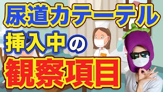 【尿道カテーテル】すぐ実践できる観察項目