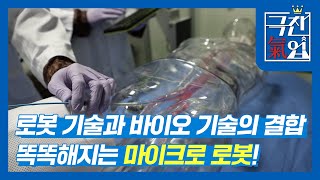 [극찬기업] 로봇 기술과 바이오 기술의 결합, 똑똑해지는 마이크로 로봇!