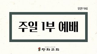 12월 15일 부산평화교회 1부 주일예배