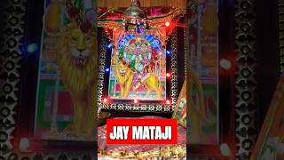 જય માતાજી 2/1/2025 ના સવારના દર્શન jay mataji #sorts #trending #vairalvideo #shortsfeed