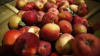 Three health myths debunked