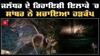 Jalandhar ਦੇ ਇਸ ਮੁਹੱਲੇ 'ਚ ਸਾਂਬਰ ਨੇ ਮਚਾਇਆ ਖਰੂਦ