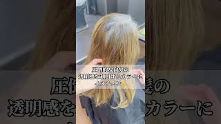 【白髪率80%以上?】グレイヘアに移行するまでのカラー🌈🌈#shorts #白髪