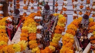 Srinivasa Kalyanam at Naimisharanyam