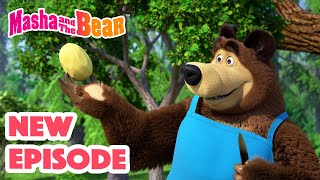 Masha and the Bear 2024 🎬 NEW EPISODE! 🎬 Best cartoon collection 🥔 Soup Pursuit